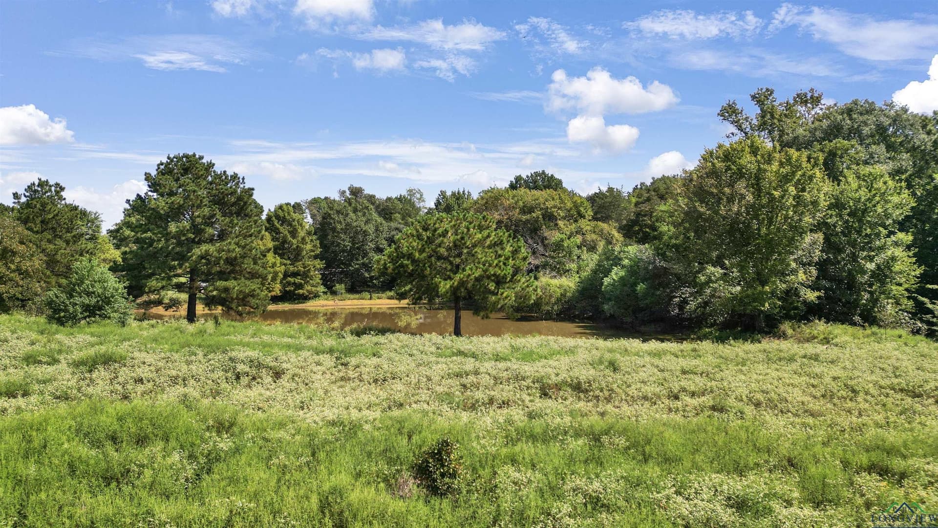 17.12 acres in Gregg County - photo 9