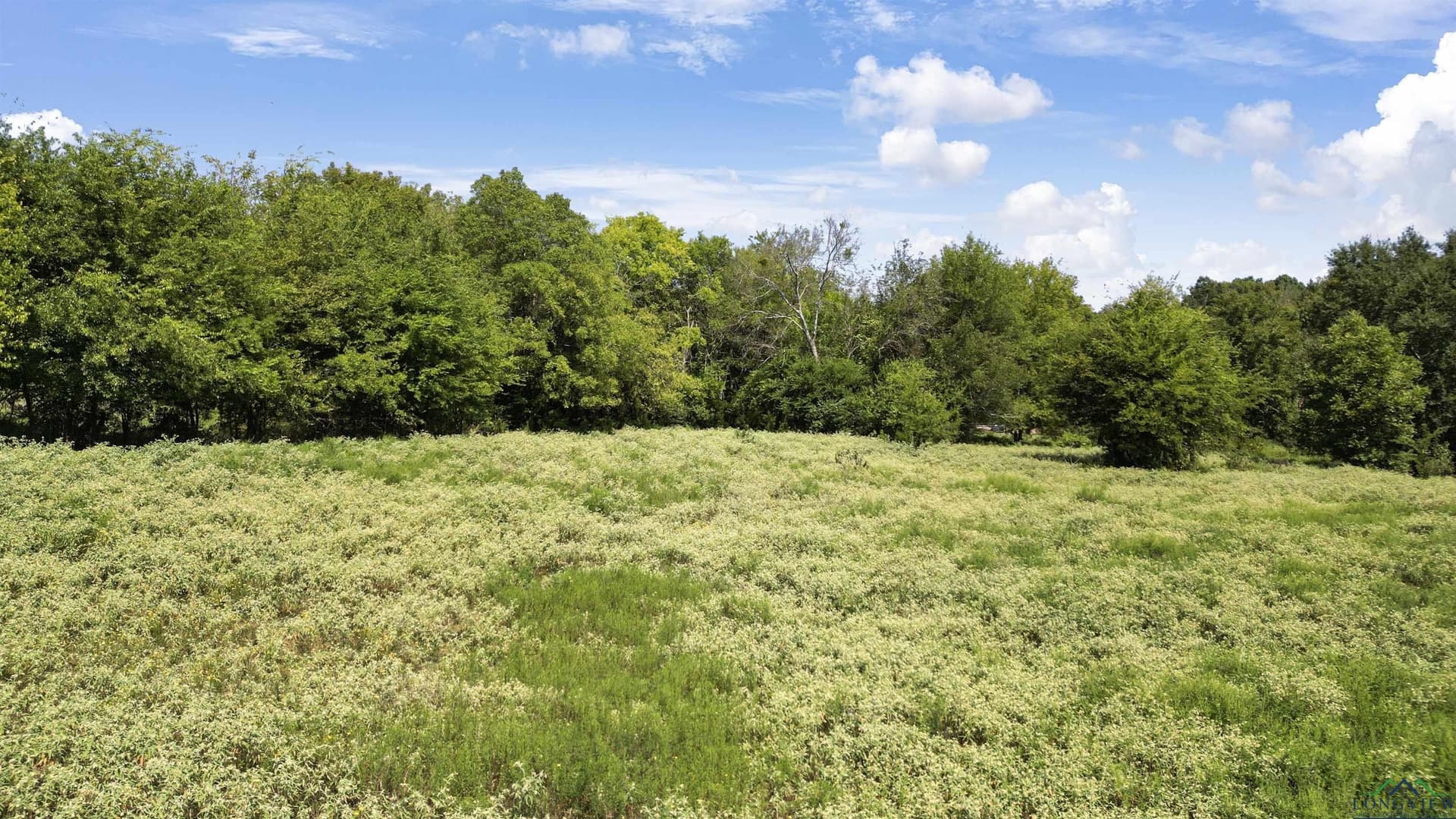 17.12 acres in Gregg County - photo 10