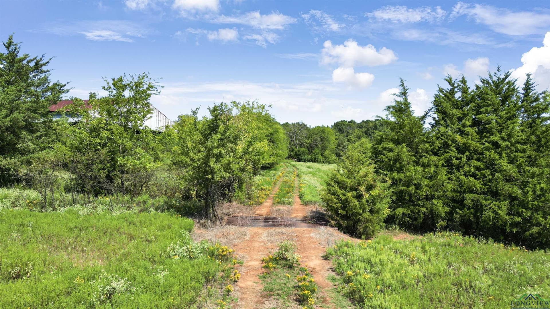 17.12 acres in Gregg County - photo 16