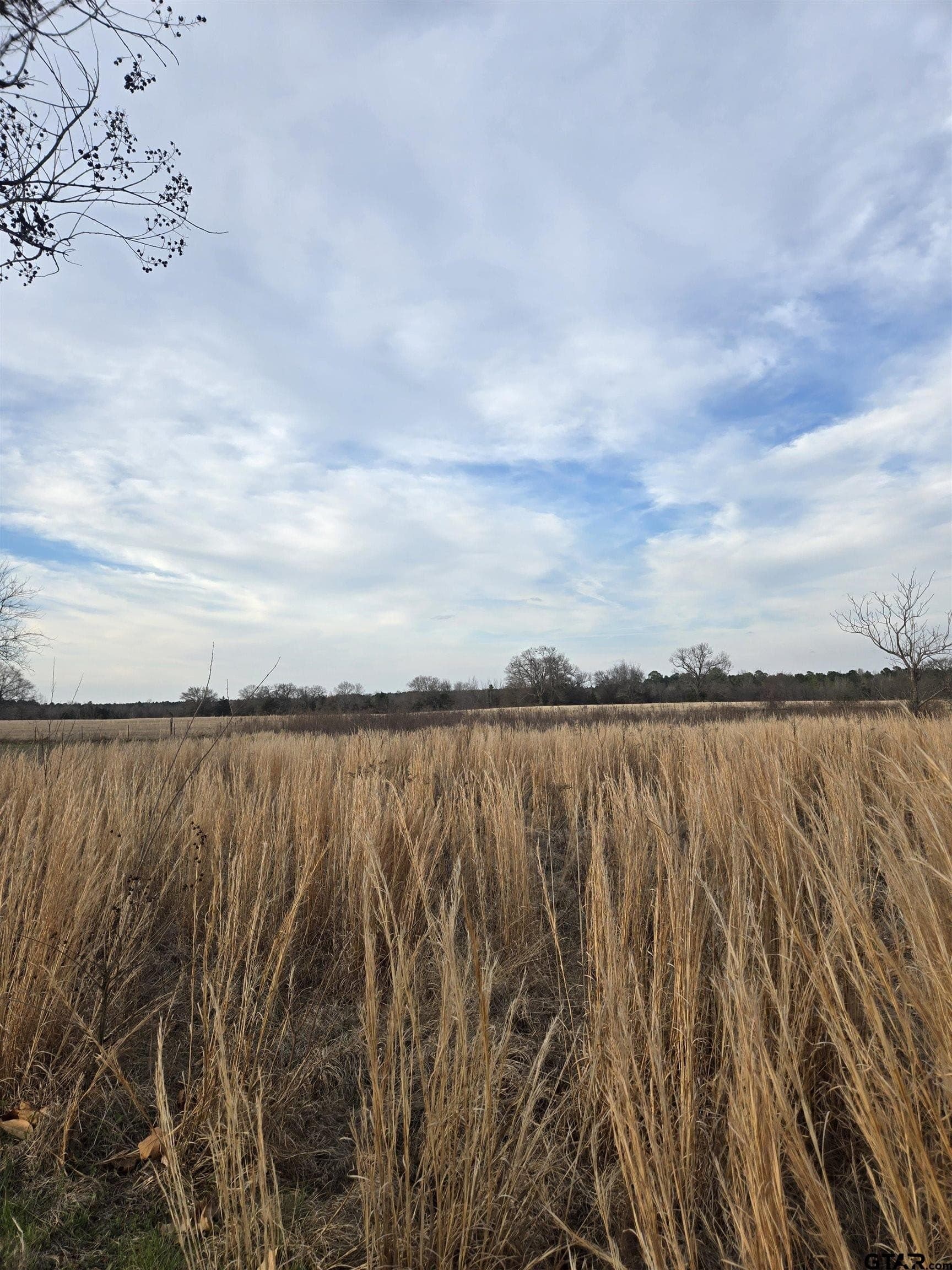 0.5 acres in Wood County - photo 2