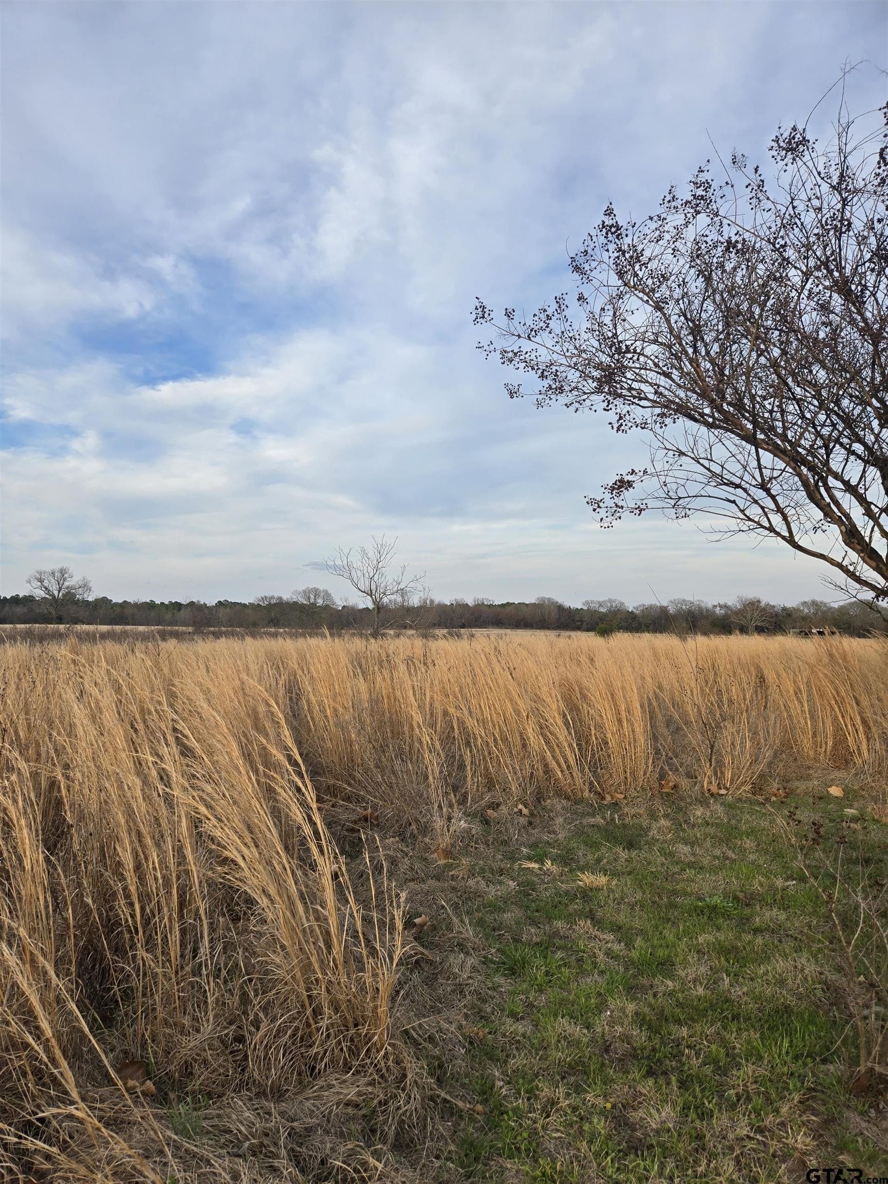 0.5 acres in Wood County - photo 4