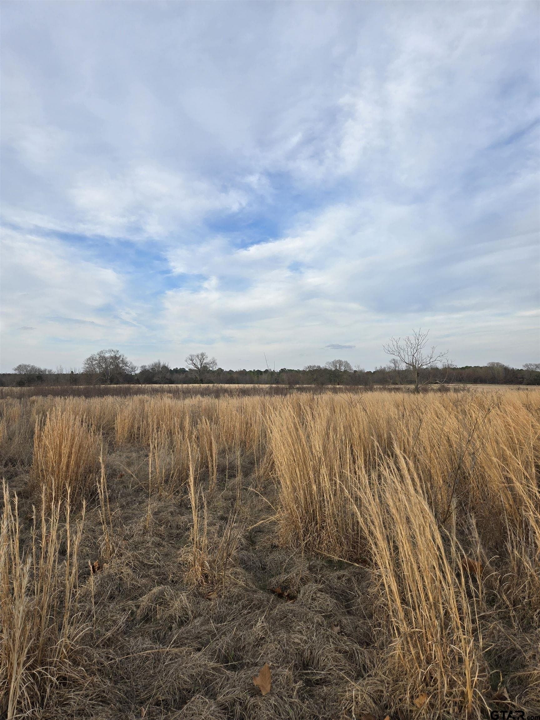 0.5 acres in Wood County - photo 6