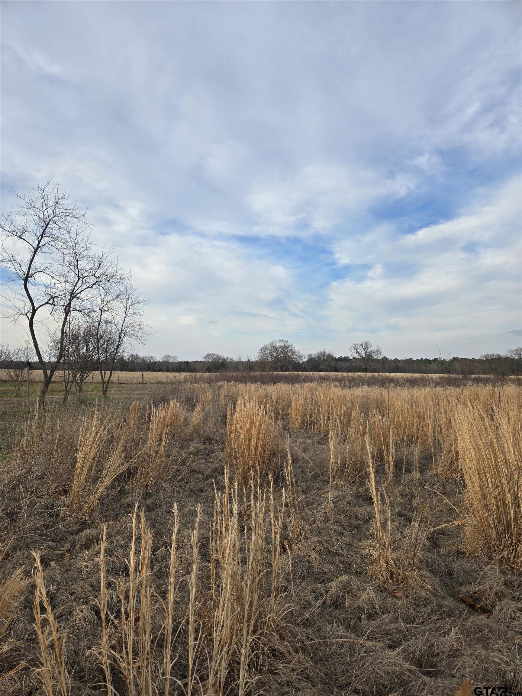 0.5 acres in Wood County - photo 7