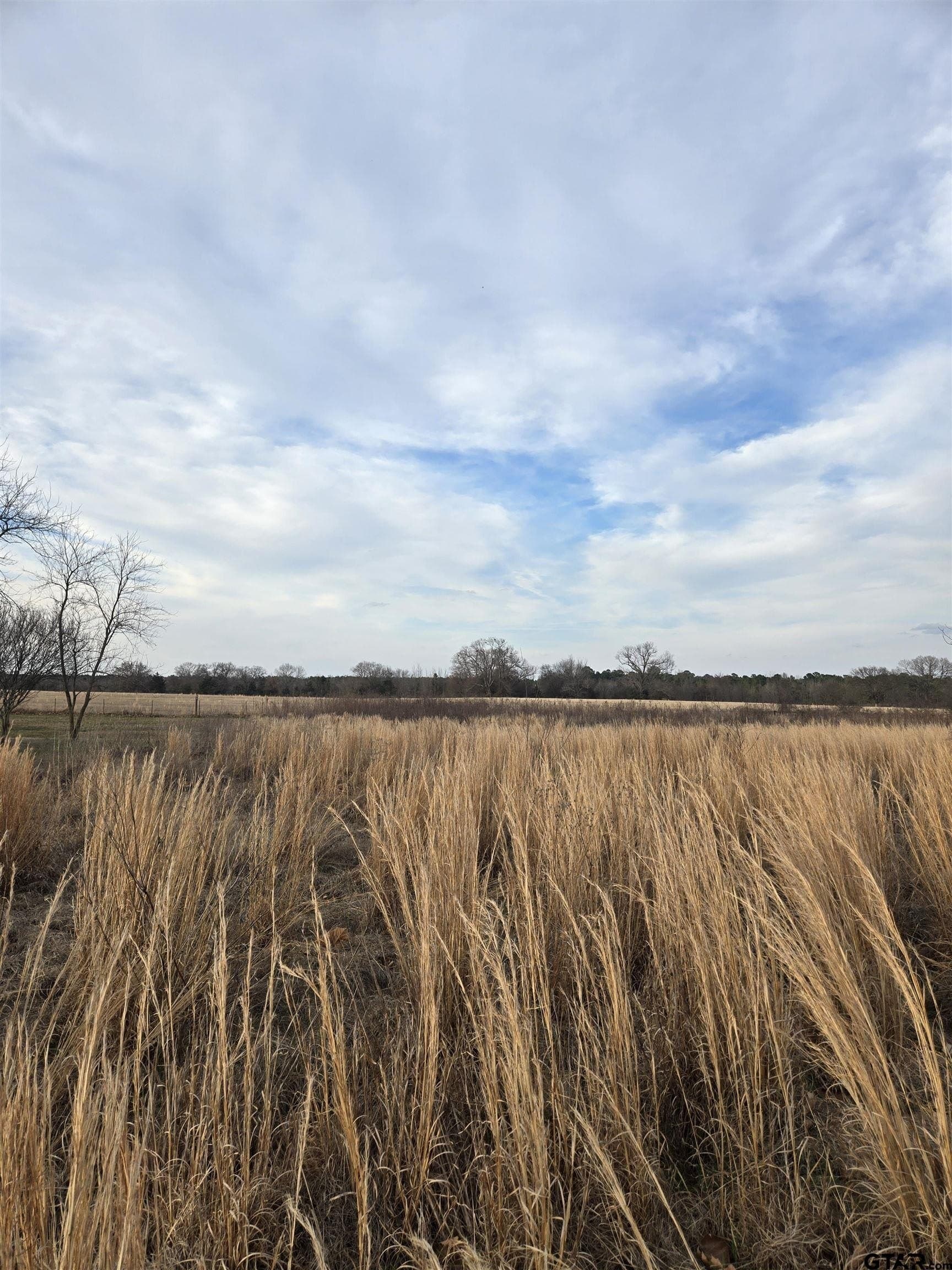 0.5 acres in Wood County - photo 5