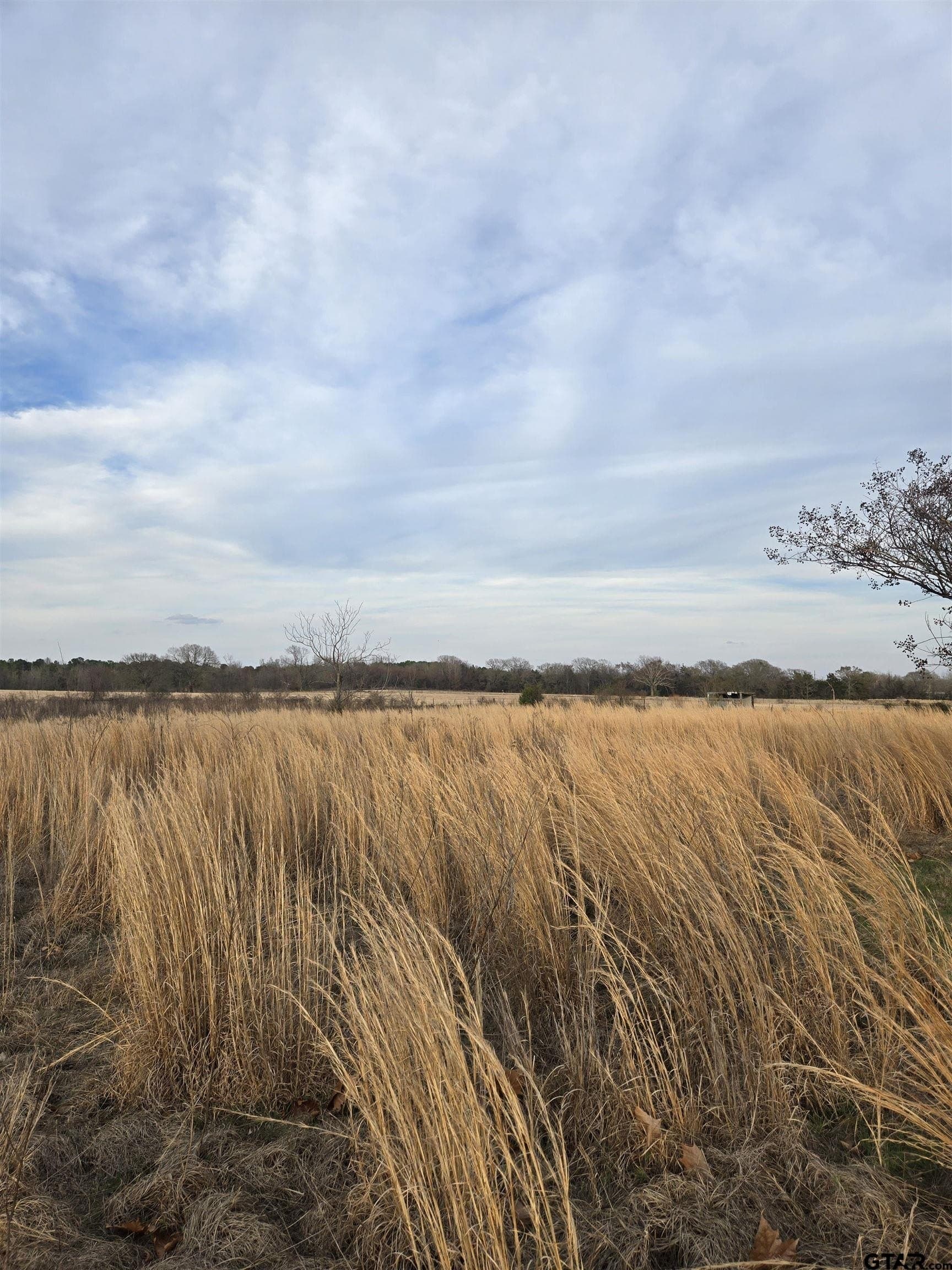 0.5 acres in Wood County - photo 8
