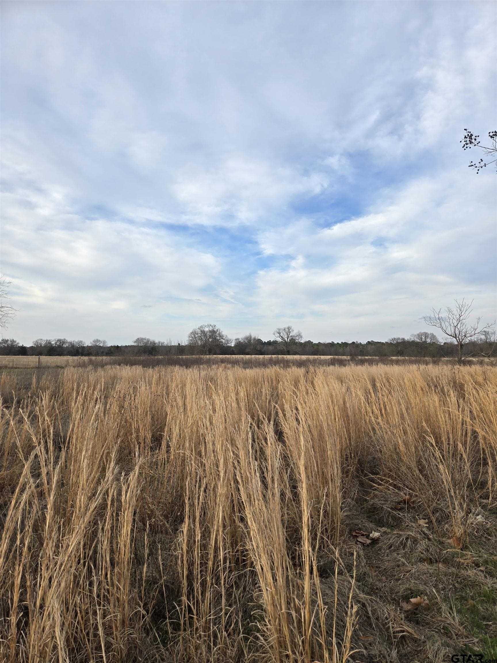 0.5 acres in Wood County - photo 3