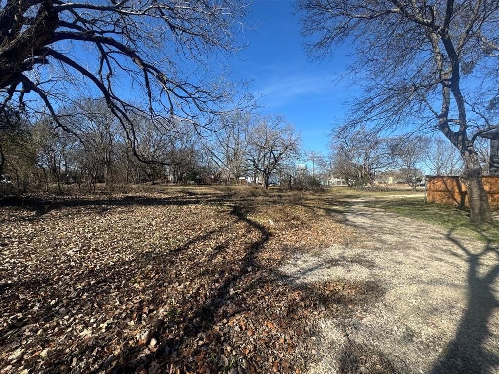 0.16 acres in Dallas County - photo 12