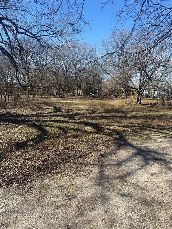 0.16 acres in Dallas County - photo 6
