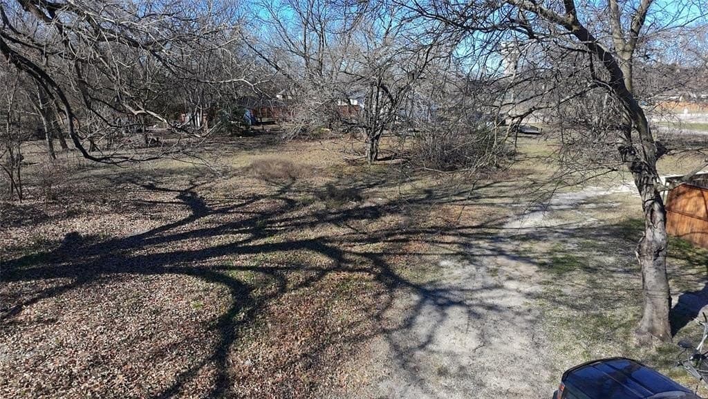 0.16 acres in Dallas County - photo 8