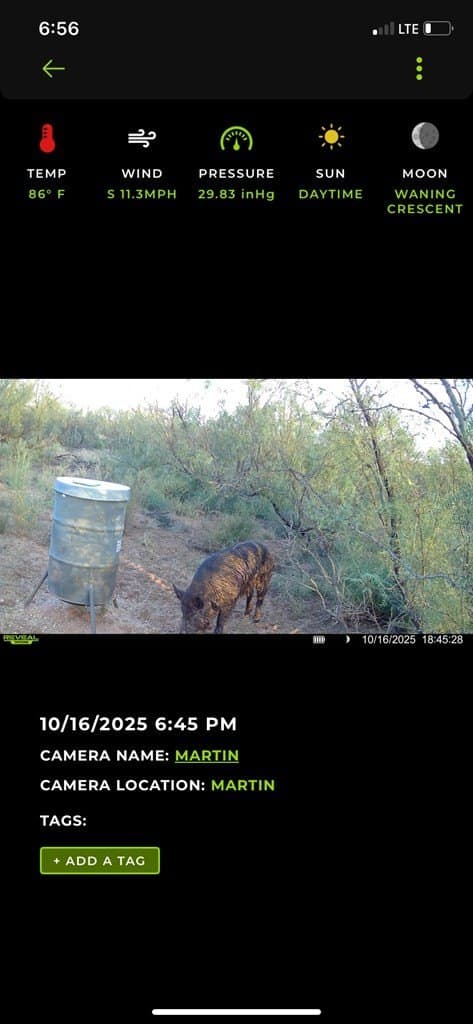 80 acres in Martin County - photo 18