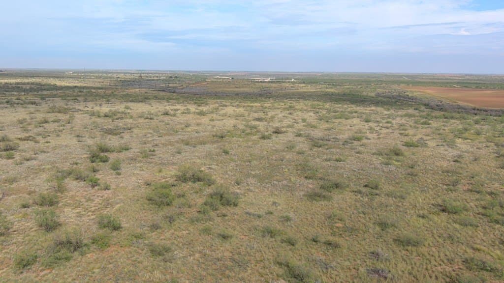 80 acres in Martin County - photo 11