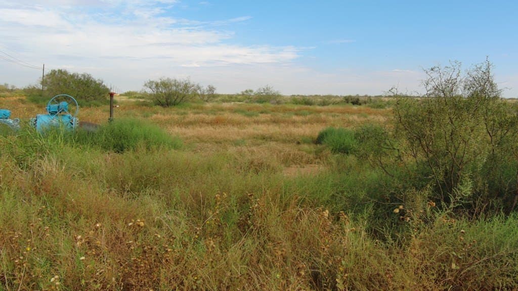 80 acres in Martin County - photo 15
