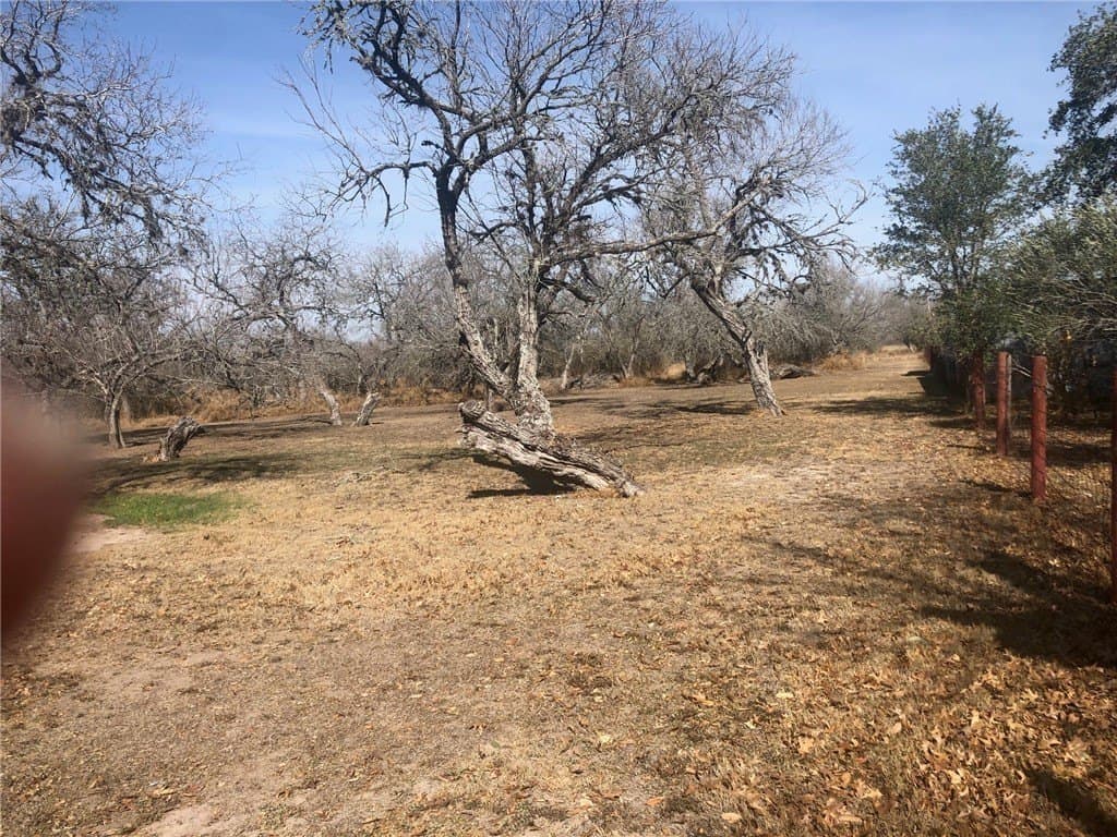 3.43 acres in Bee County - photo 2