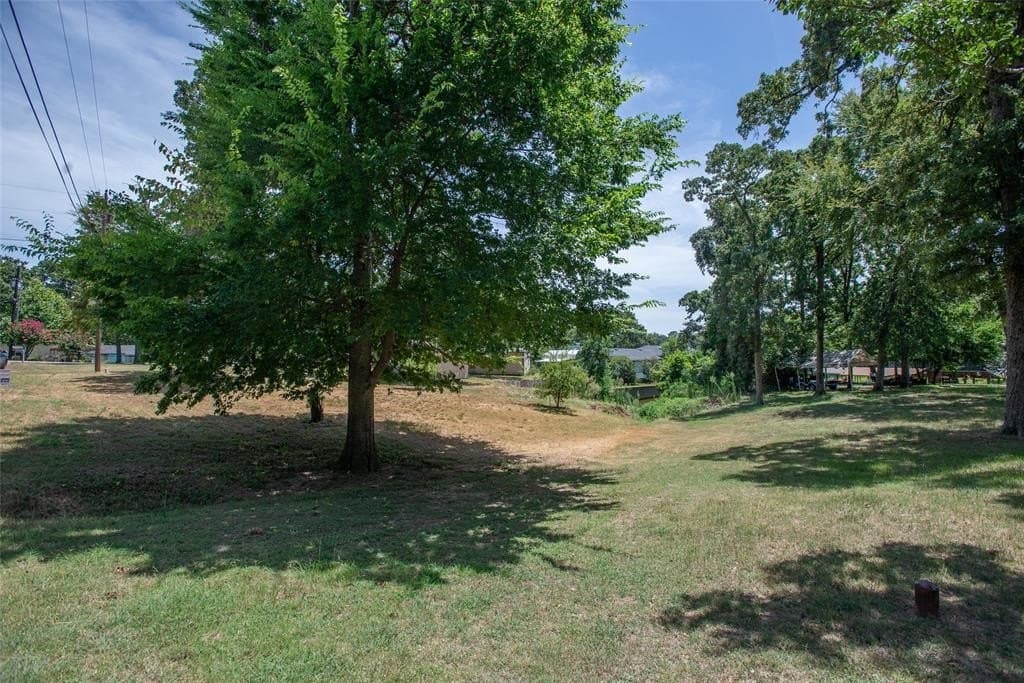 0.25 acres in Henderson County - photo 13