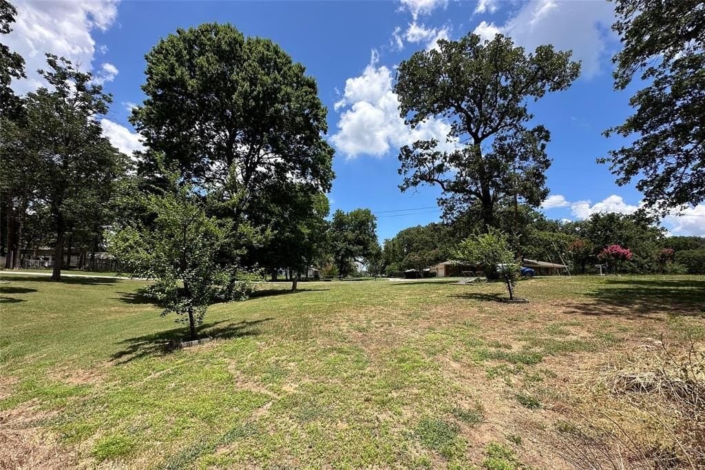 0.25 acres in Henderson County - photo 17