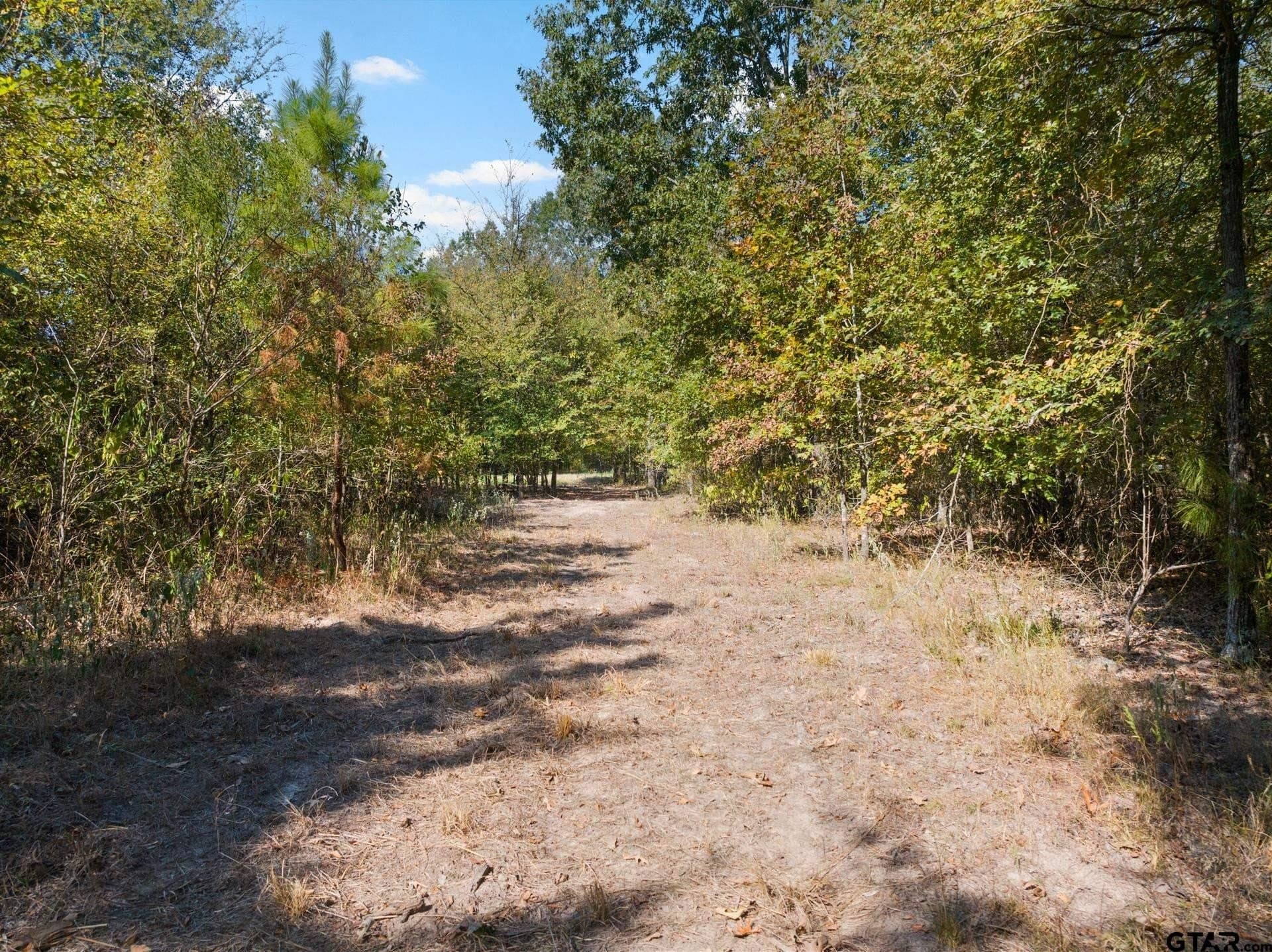 85 acres in Titus County - photo 39