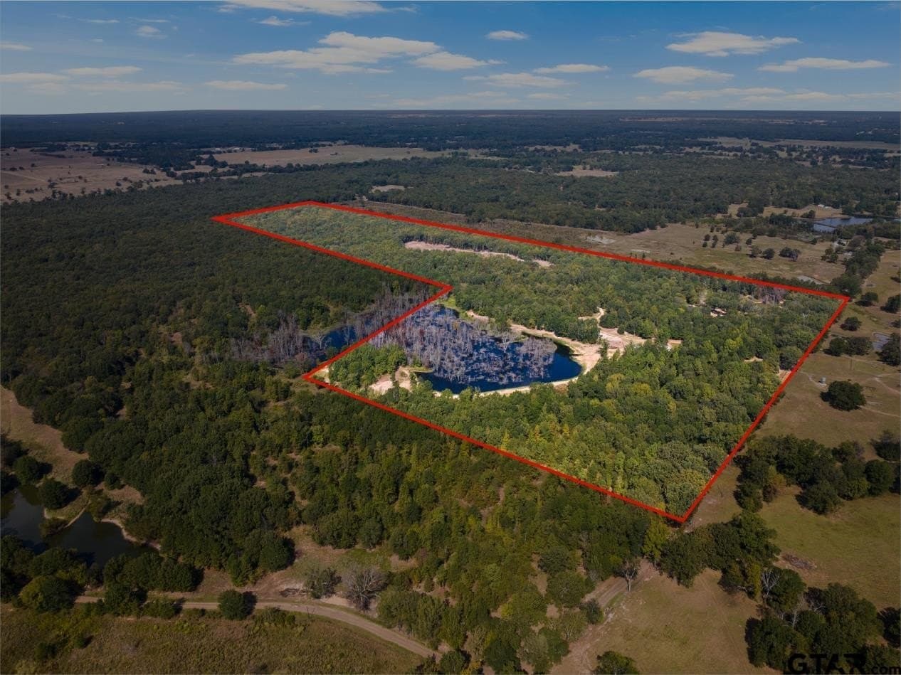 85 acres in Titus County - photo 40