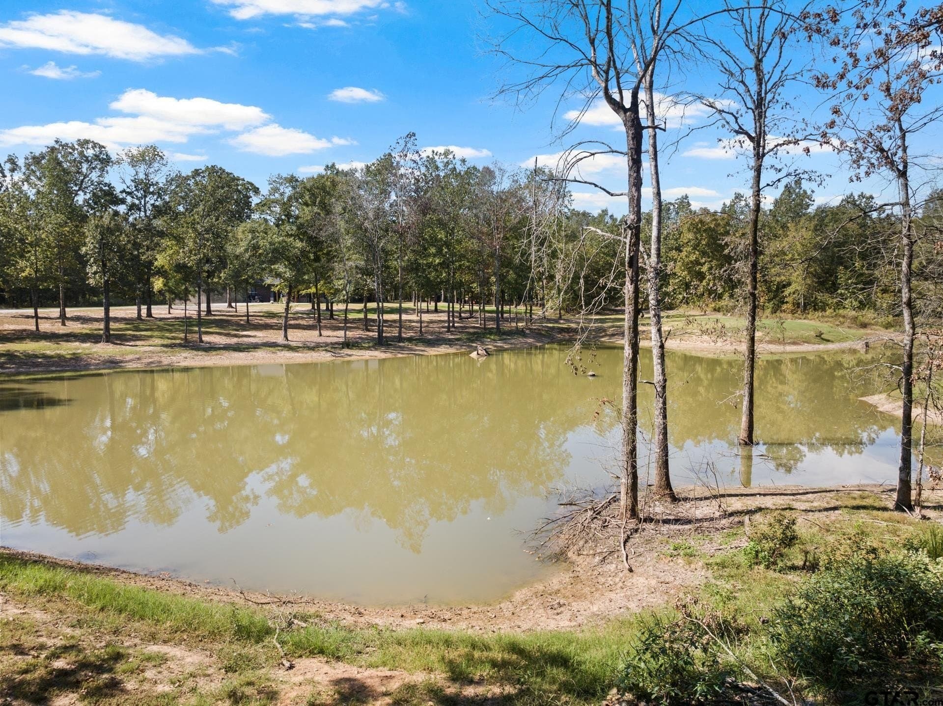 85 acres in Titus County - photo 28