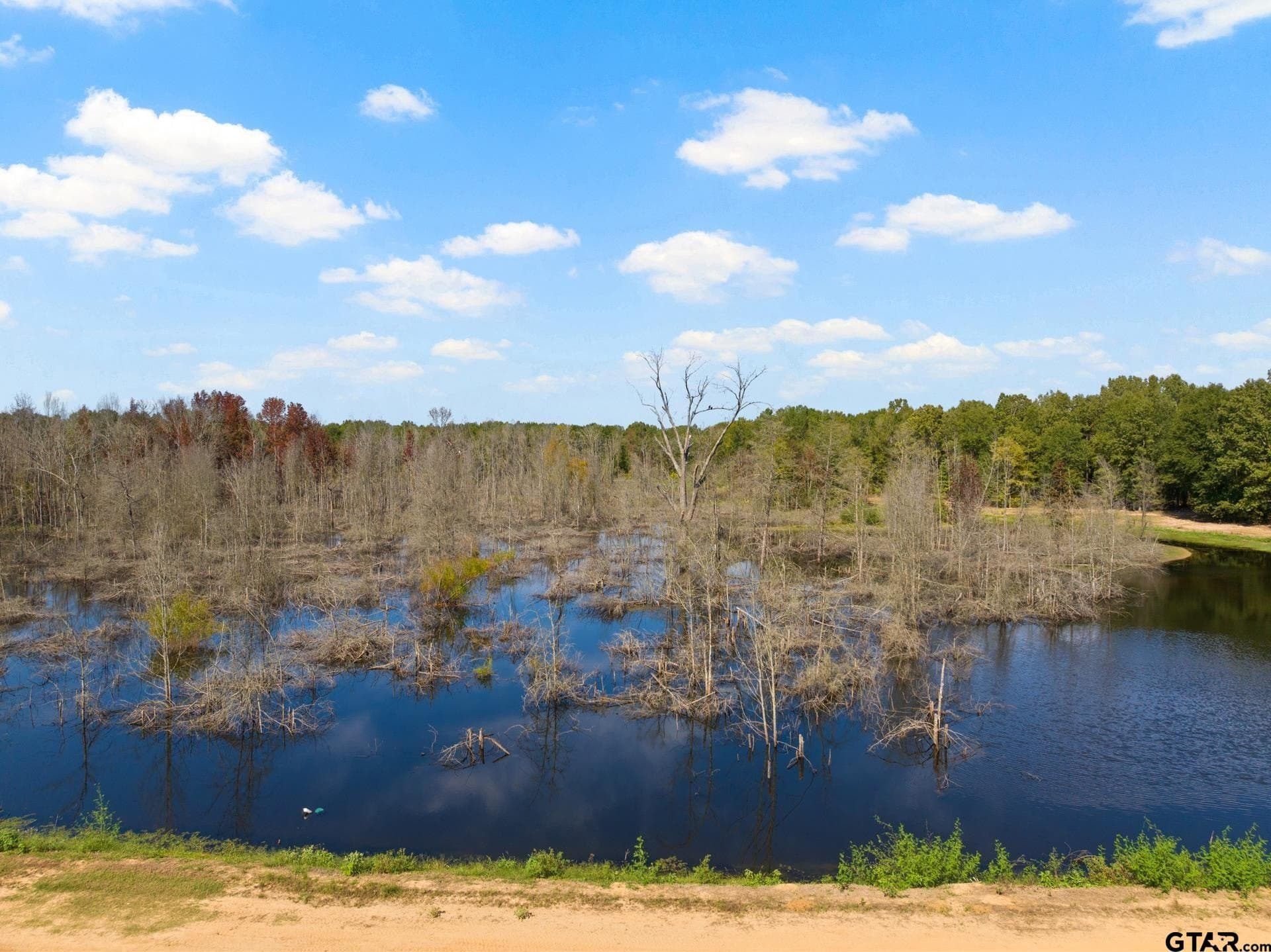 85 acres in Titus County - photo 30