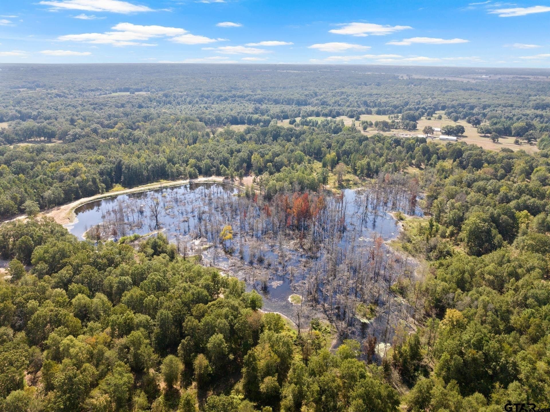 85 acres in Titus County - photo 29
