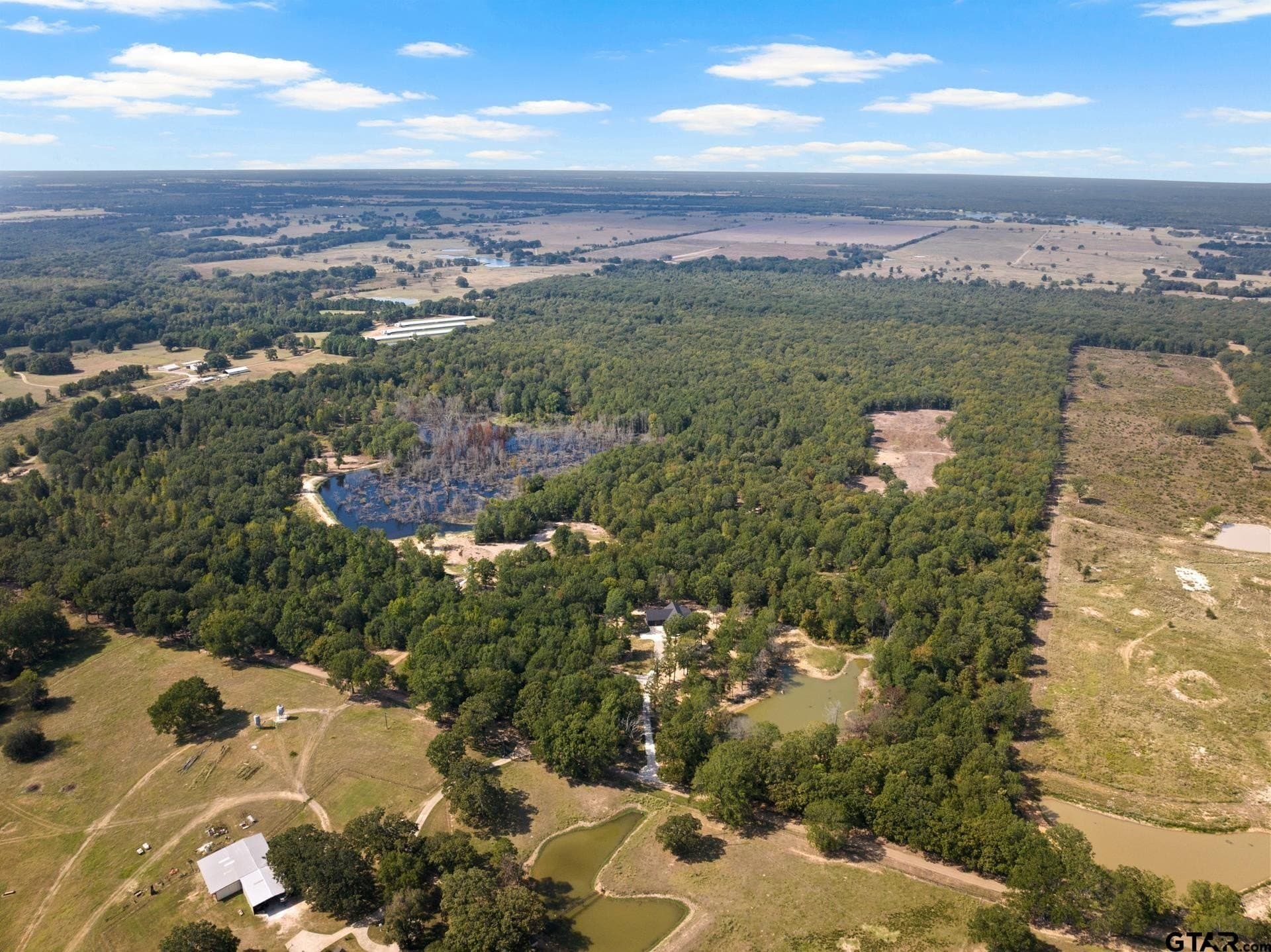 85 acres in Titus County - photo 27