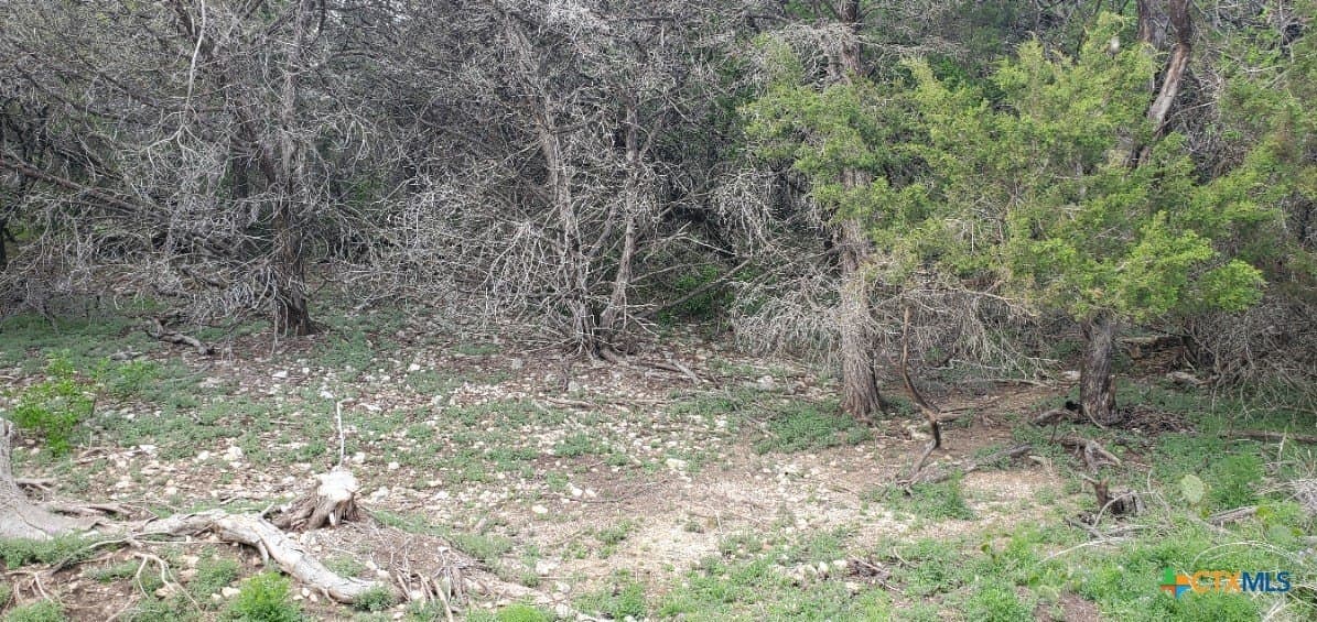 0.34 acres in Bell County - photo 12
