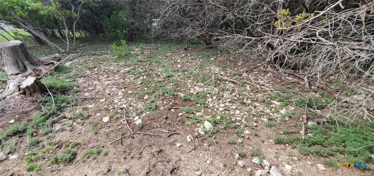 0.34 acres in Bell County - photo 13