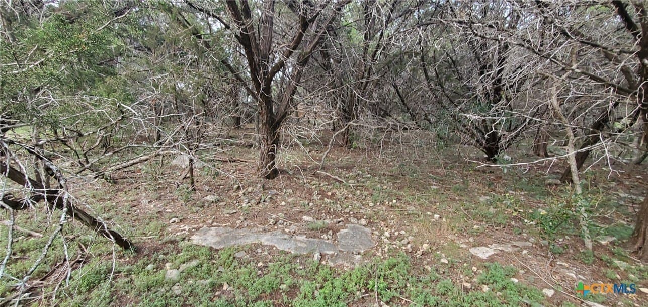 0.34 acres in Bell County - photo 16