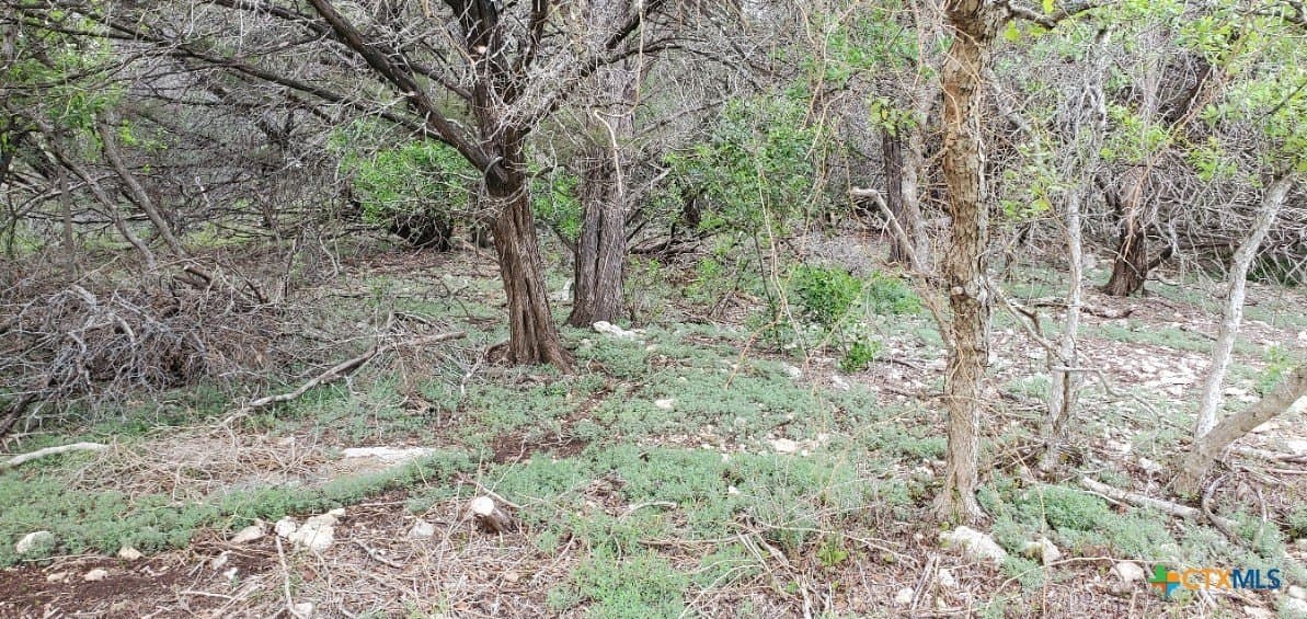 0.34 acres in Bell County - photo 18