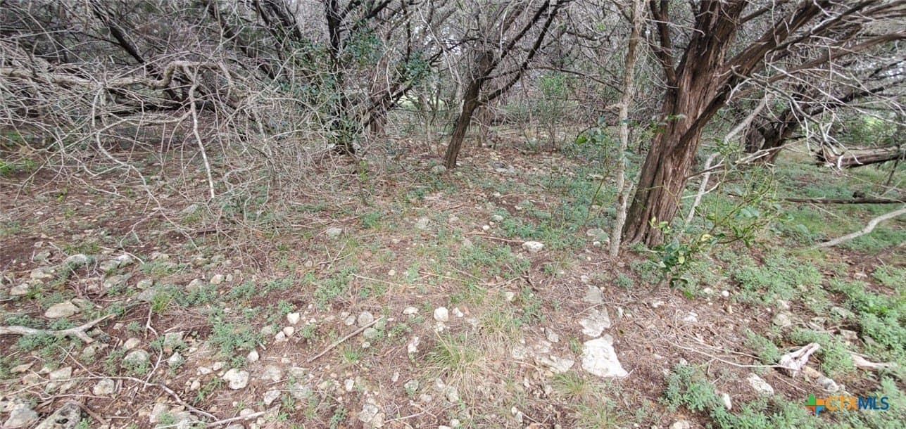 0.34 acres in Bell County - photo 15