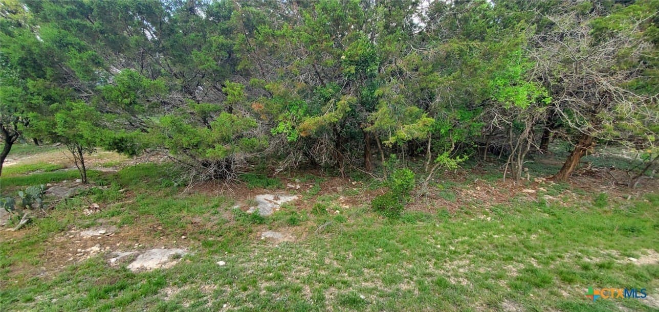 0.34 acres in Bell County - photo 3