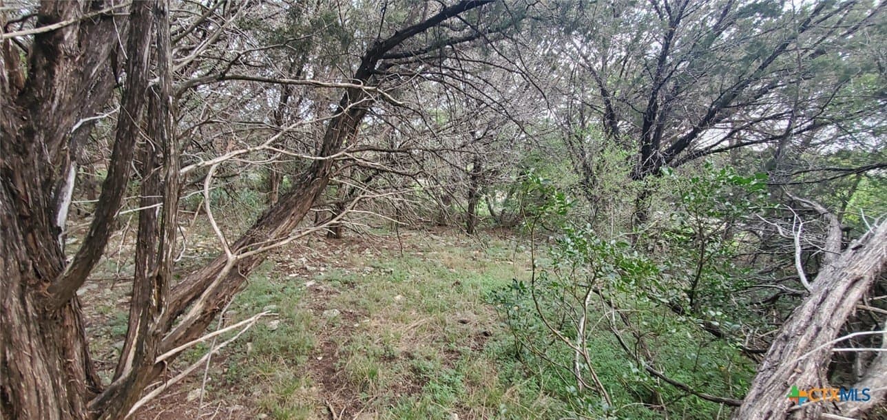 0.34 acres in Bell County - photo 17