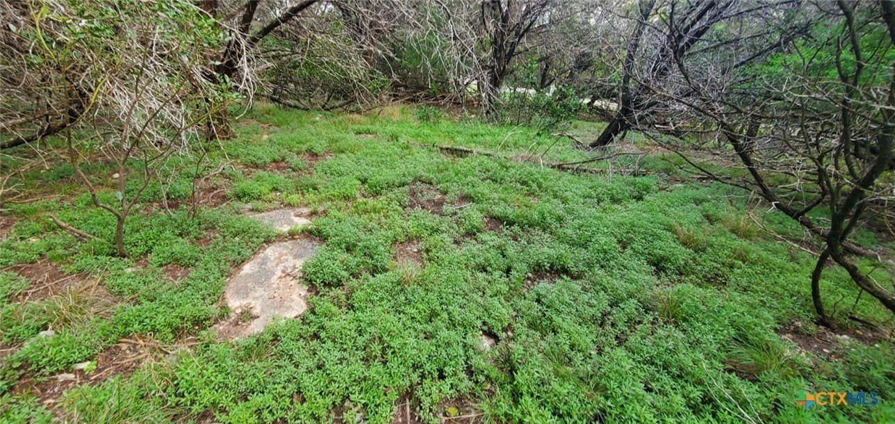 0.34 acres in Bell County - photo 14