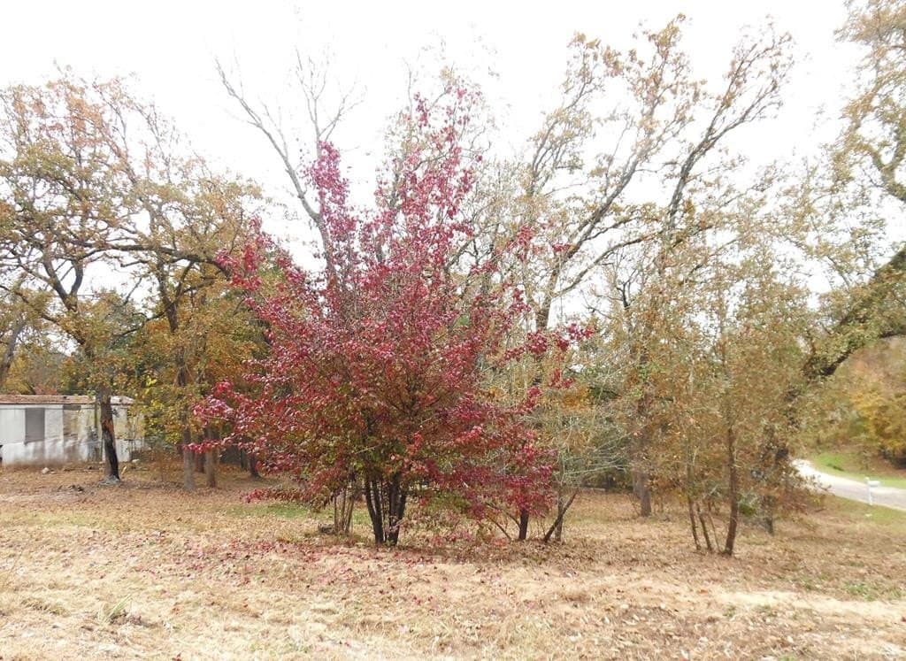 0.18 acres in Van Zandt County - photo 2
