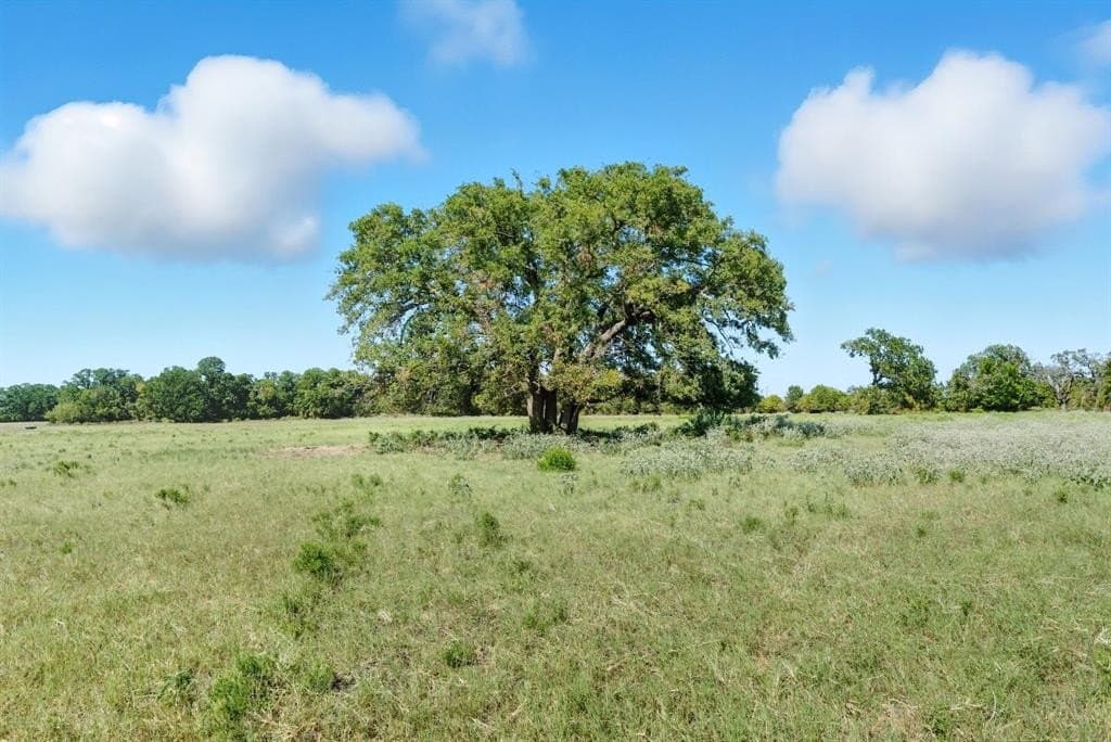 30 acres in Palo Pinto County - photo 3
