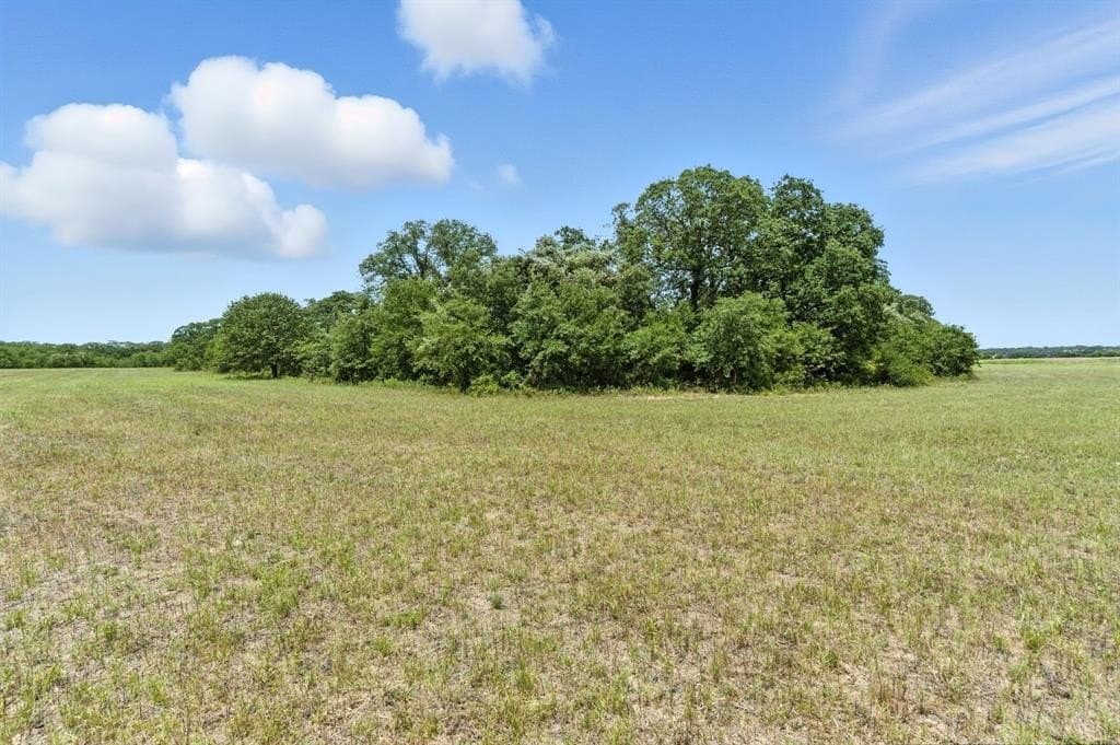 30 acres in Palo Pinto County - photo 4
