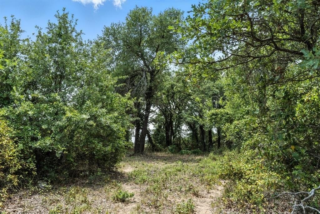 30 acres in Palo Pinto County - photo 13