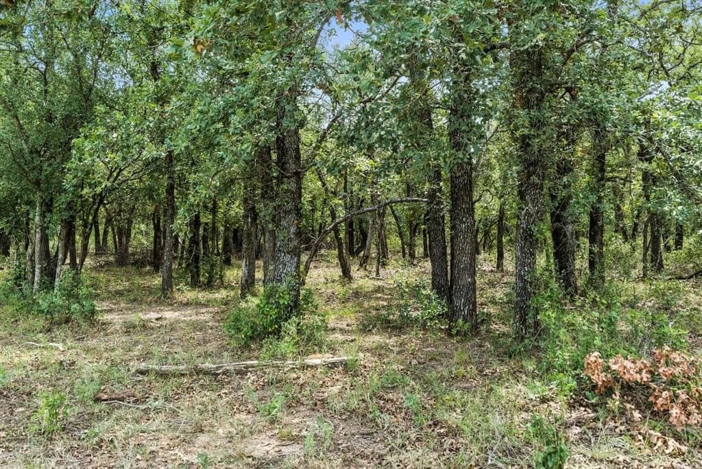 30 acres in Palo Pinto County - photo 14