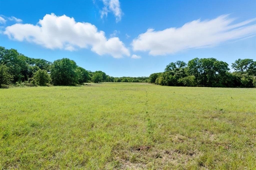 30 acres in Palo Pinto County - photo 8