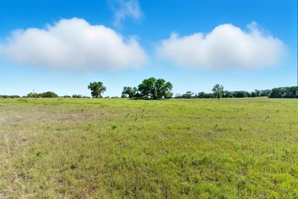 30 acres in Palo Pinto County - photo 11