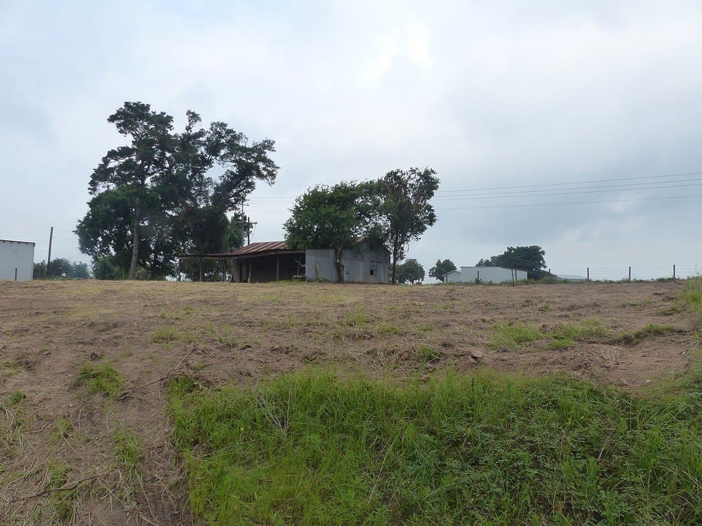 0.58 acres in Austin County - photo 3