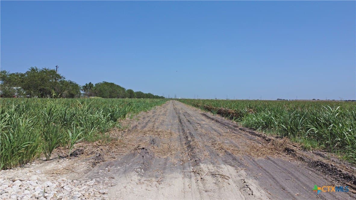 47 acres in Guadalupe County - photo 8