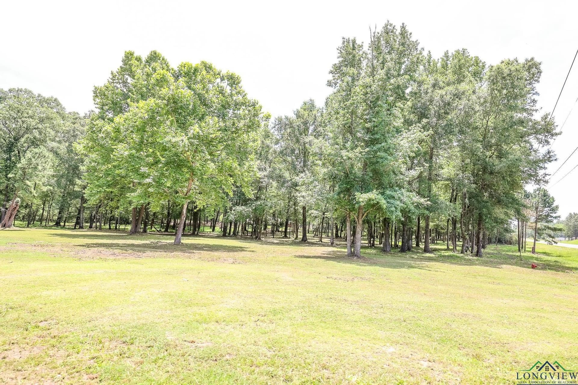 26 acres in Marion County - photo 19