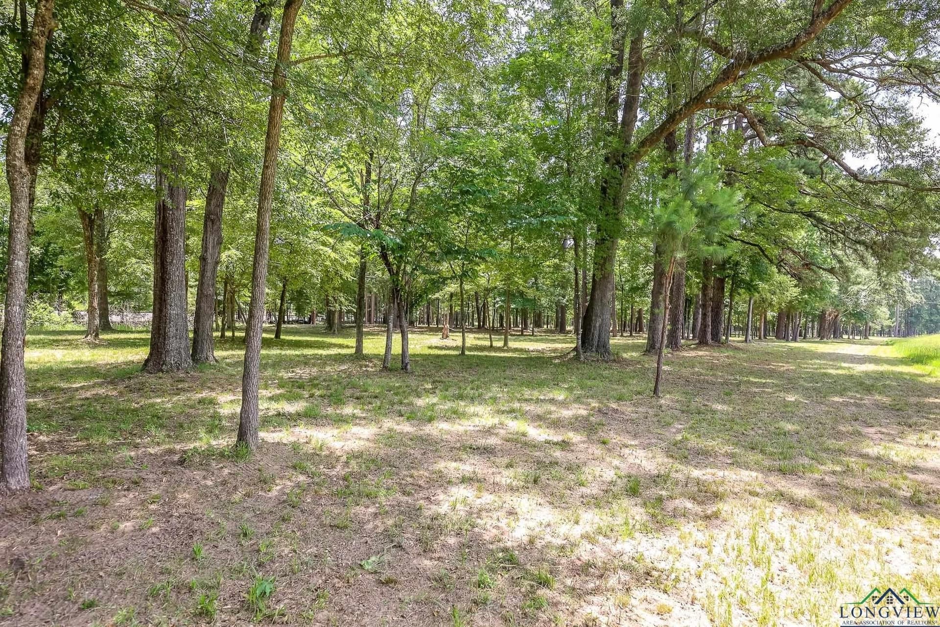 26 acres in Marion County - photo 27
