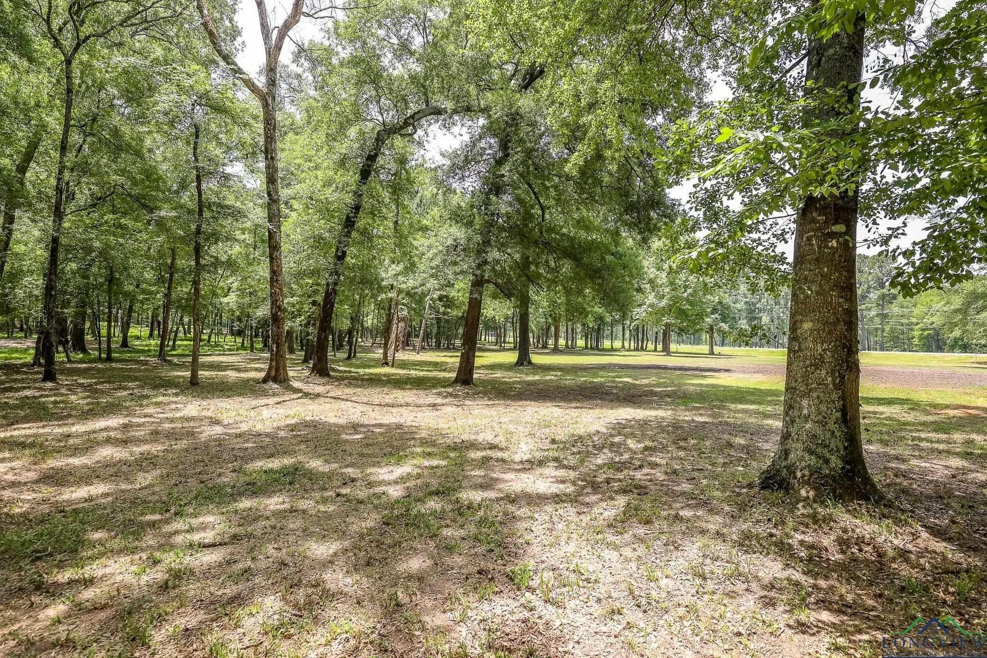 26 acres in Marion County - photo 16