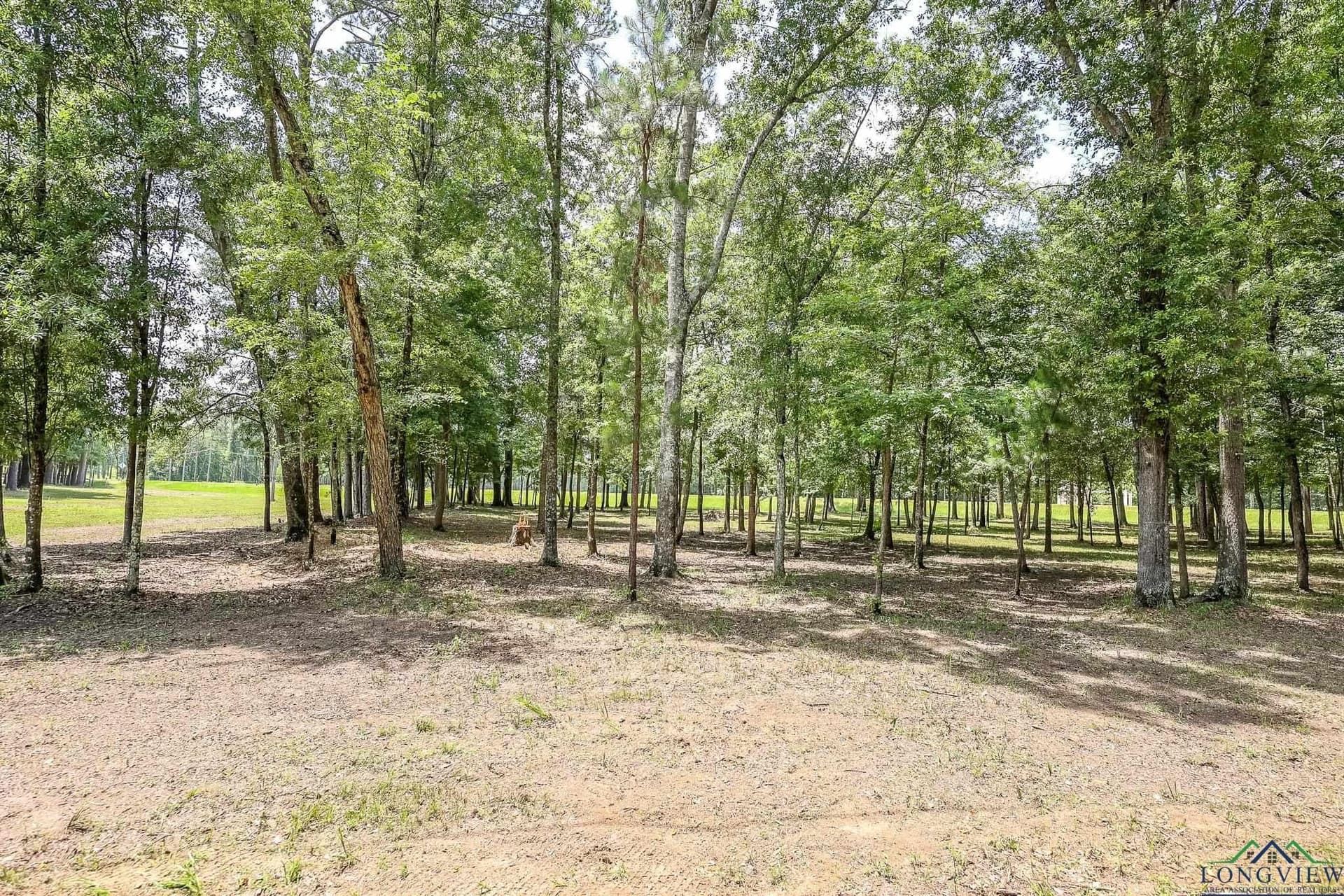 26 acres in Marion County - photo 24