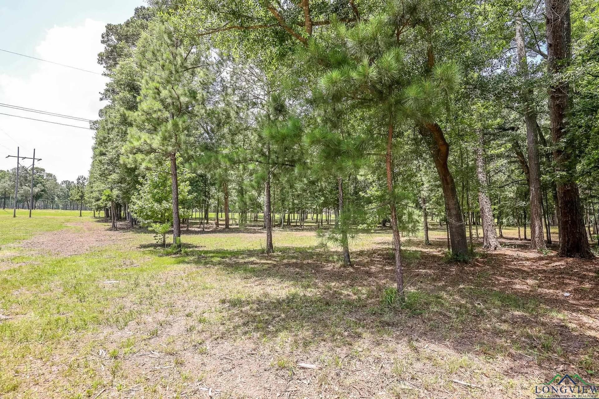 26 acres in Marion County - photo 22