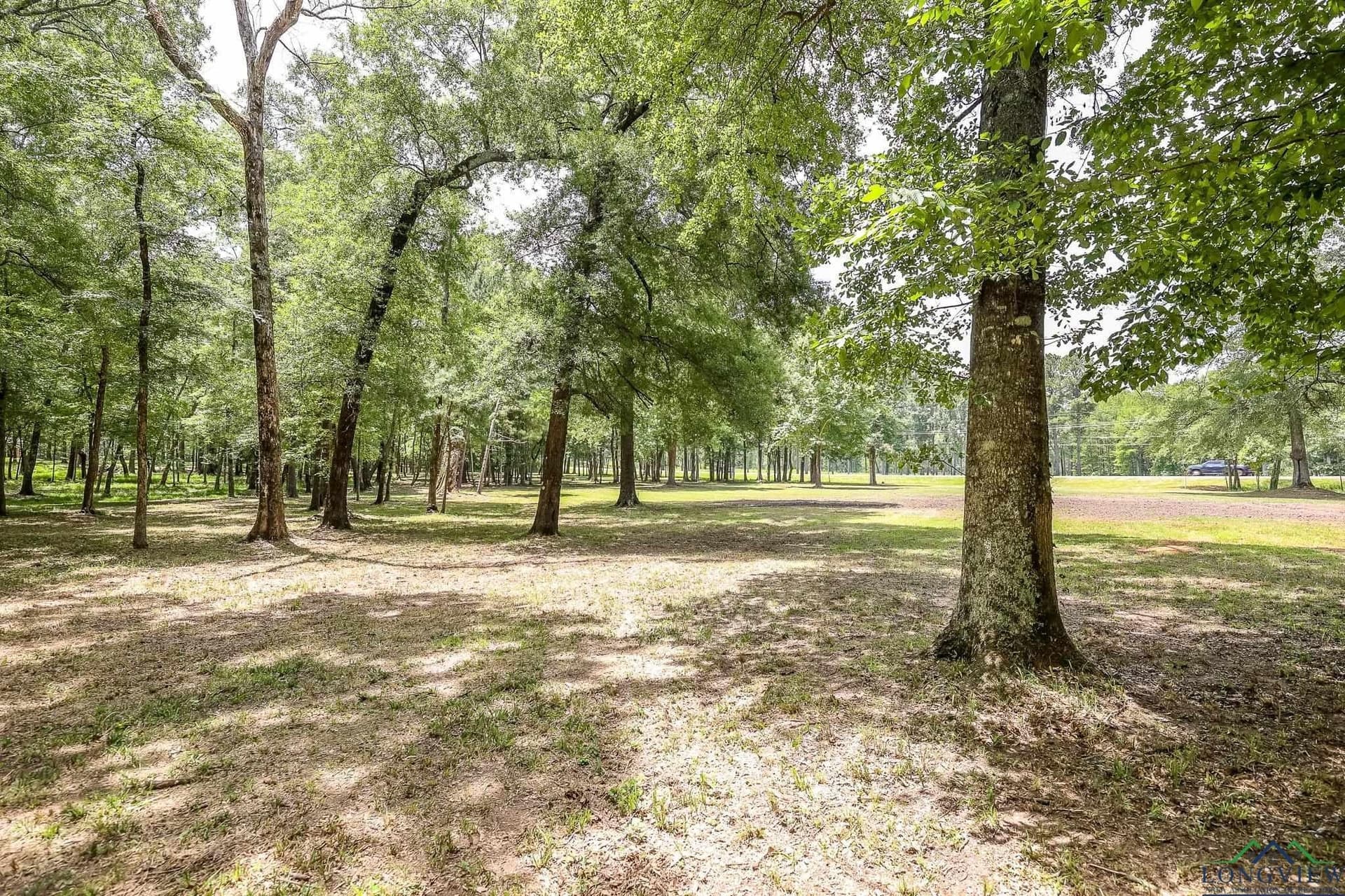 26 acres in Marion County - photo 15