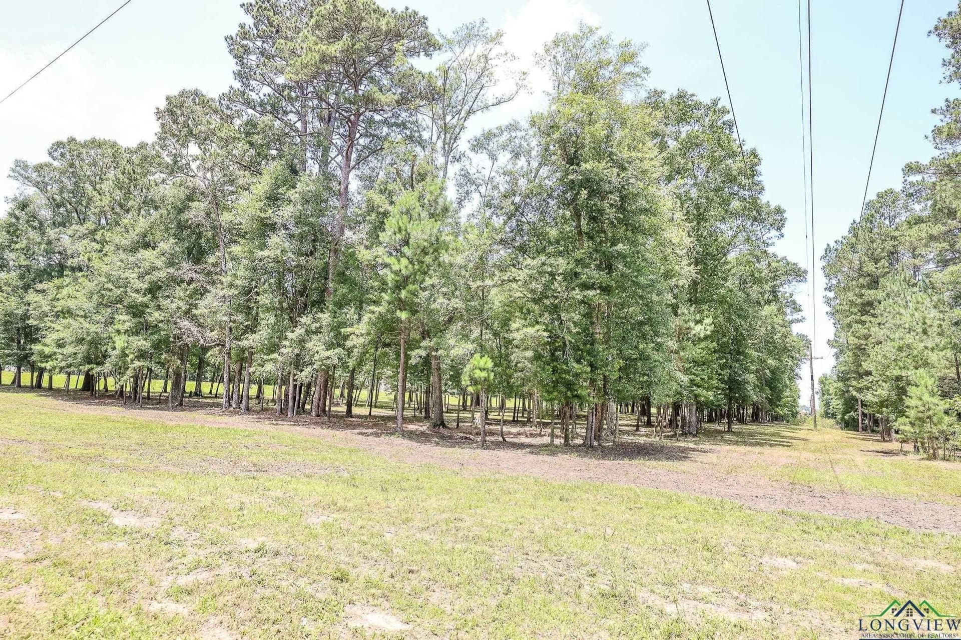 26 acres in Marion County - photo 20