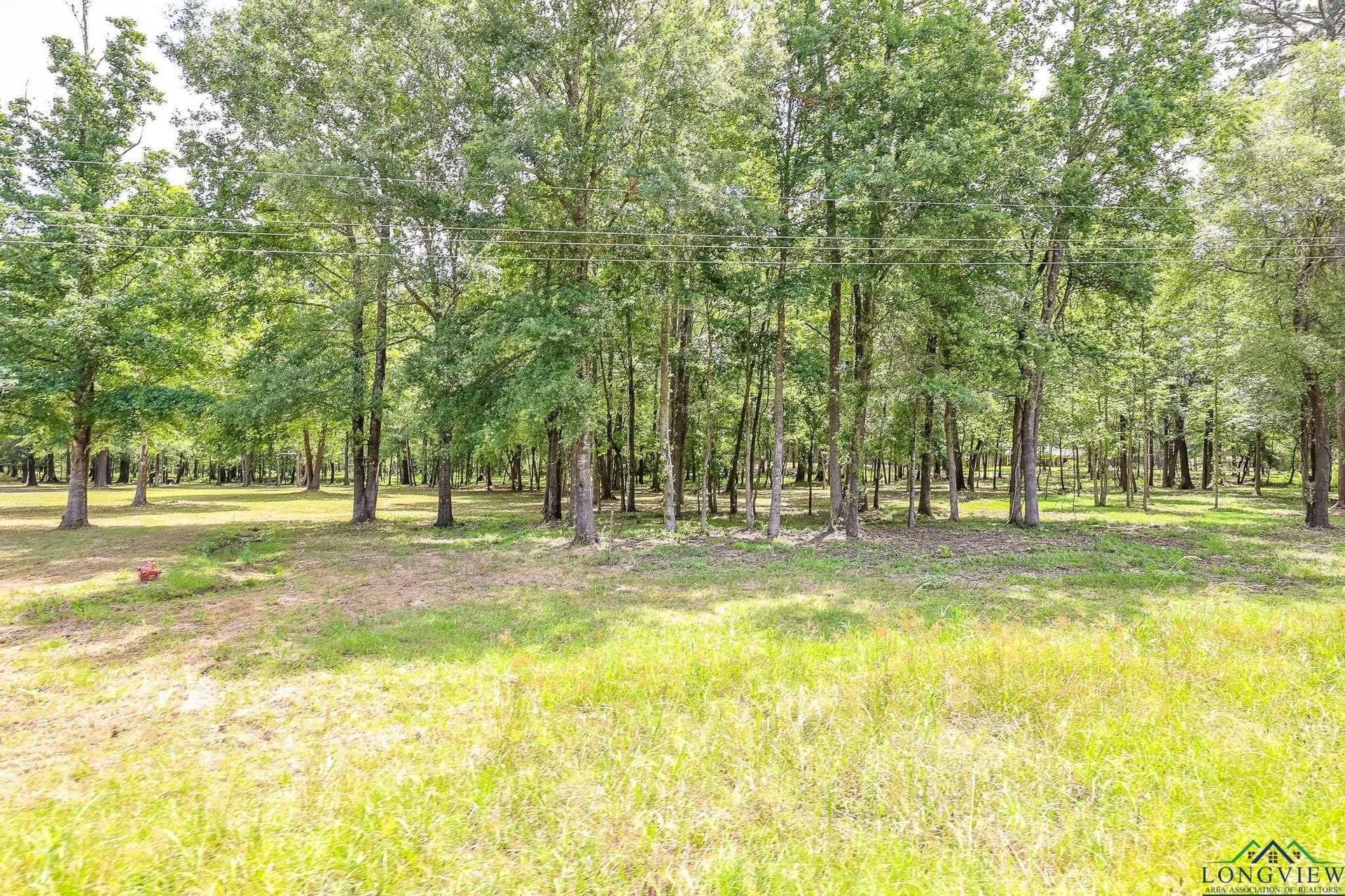 26 acres in Marion County - photo 10